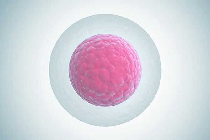 美貌续命VS卵子存档？都市丽人不可不知的安全期指南！