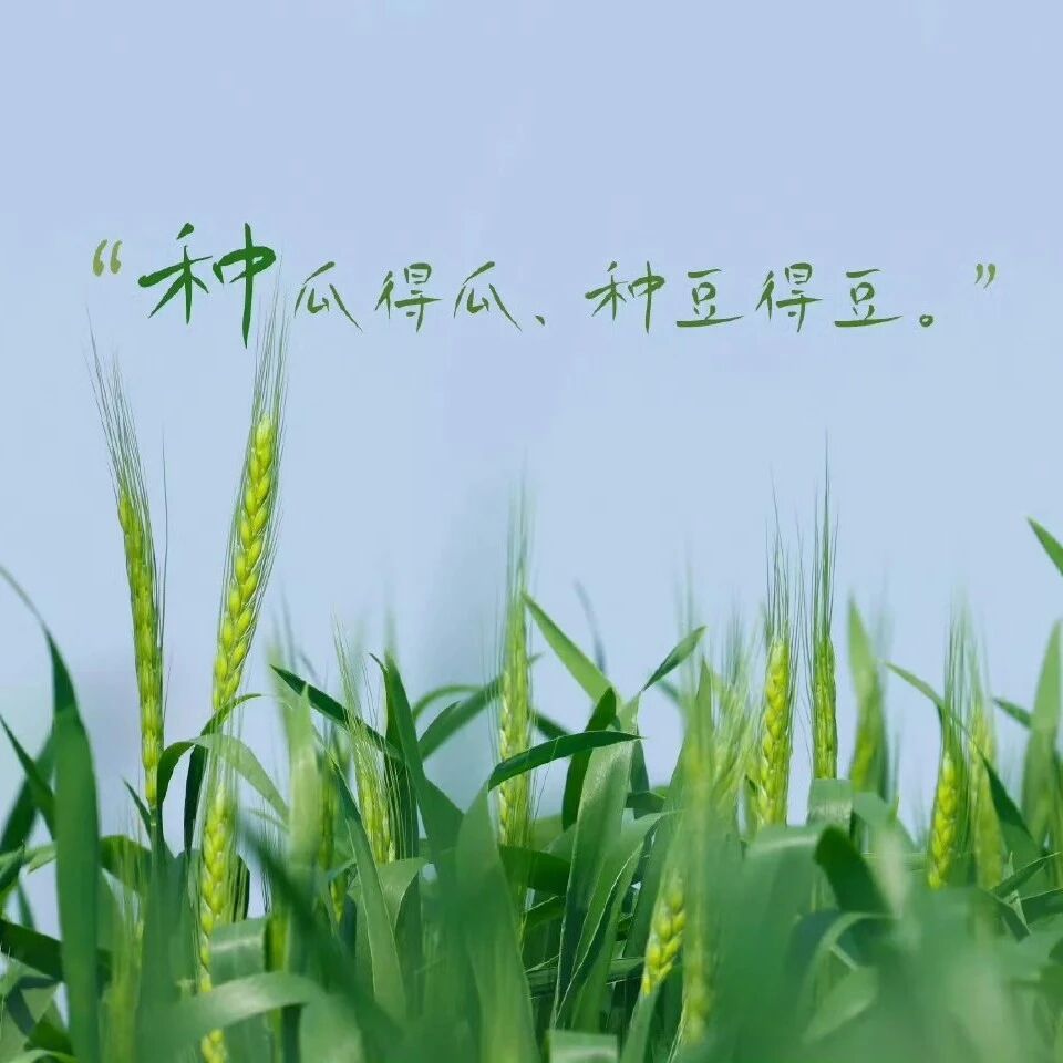 arrive、reach、get to：到达到底怎么说？