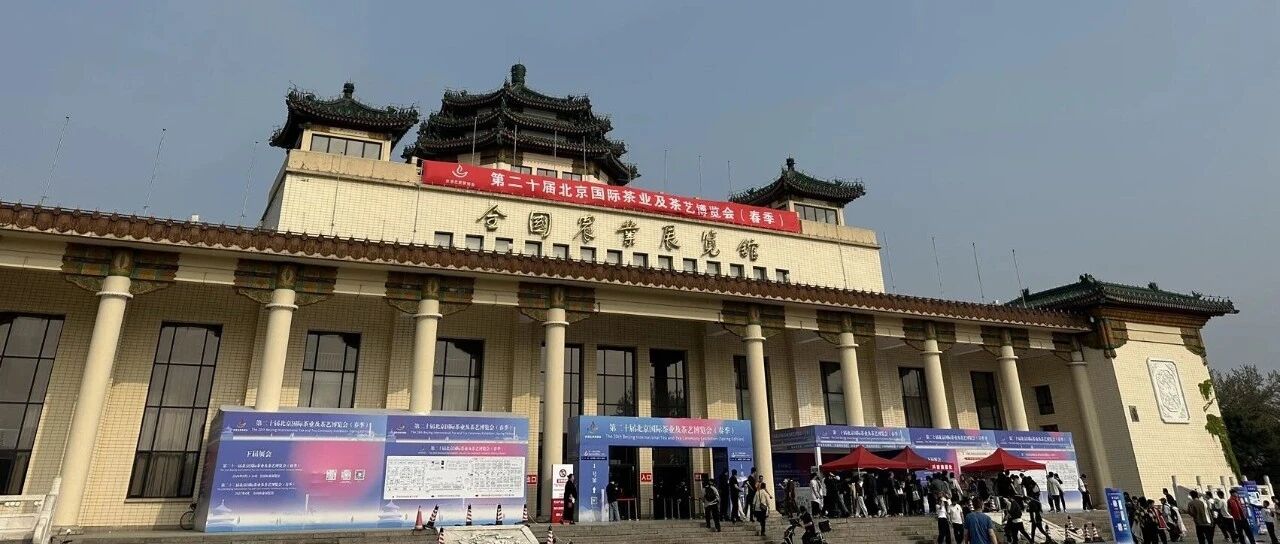 北京茶博会今日开幕｜10 个茶文化英语词汇，带外国朋友逛展不词穷