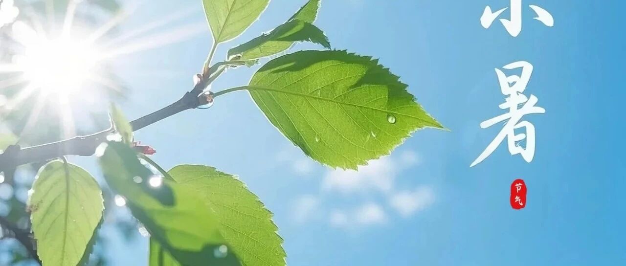 今天小暑，但你会用英语说二十四节气吗？传统文化加分表达一网打尽