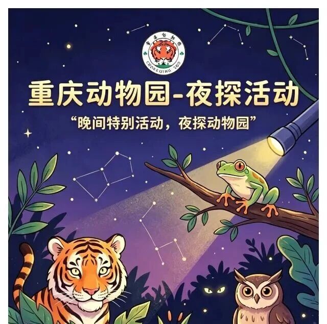 重庆动物园夜探活动报名