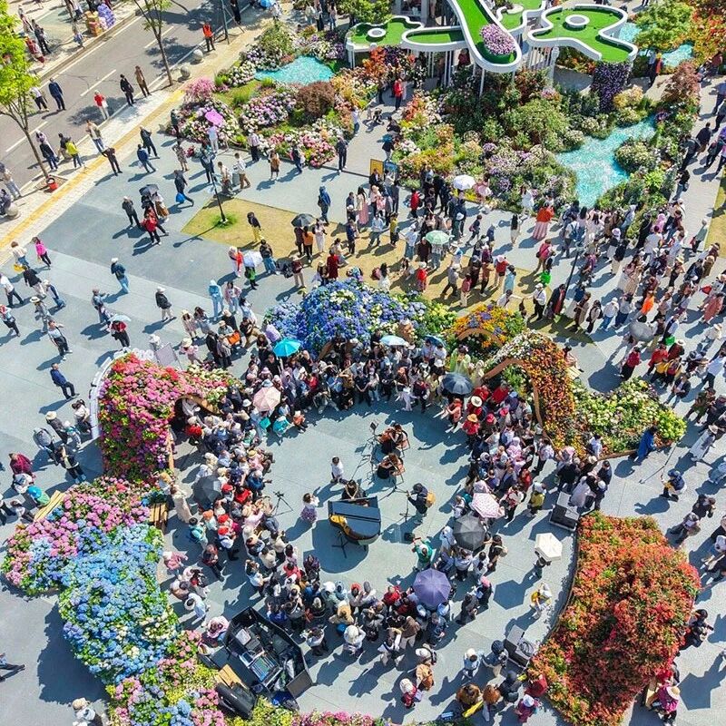 2026武汉都市圈花展五一引爆赏花游