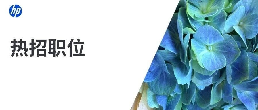 热招职位|岗位更新中，点击查看你的心仪岗位！