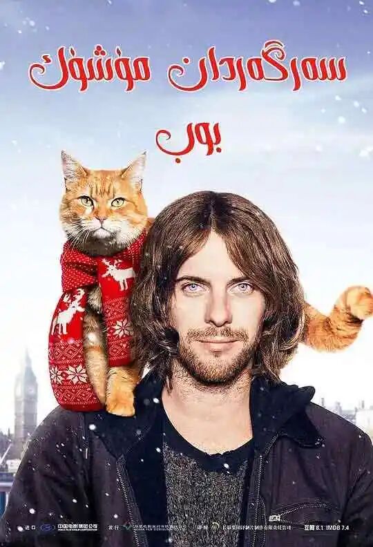 سەرگەردان مۈشۈك بوب