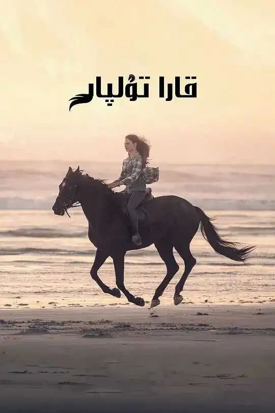 قارا تۇلپار