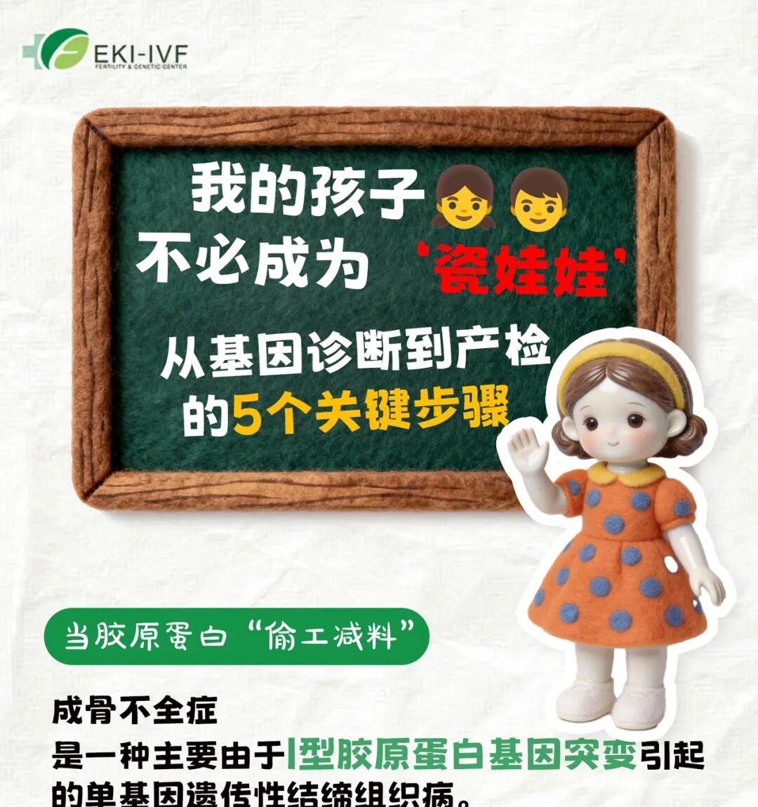 单基因病（脆骨症、瓷娃娃）——成骨不全可以生健康宝宝吗？泰国三代试管EKI-IVF