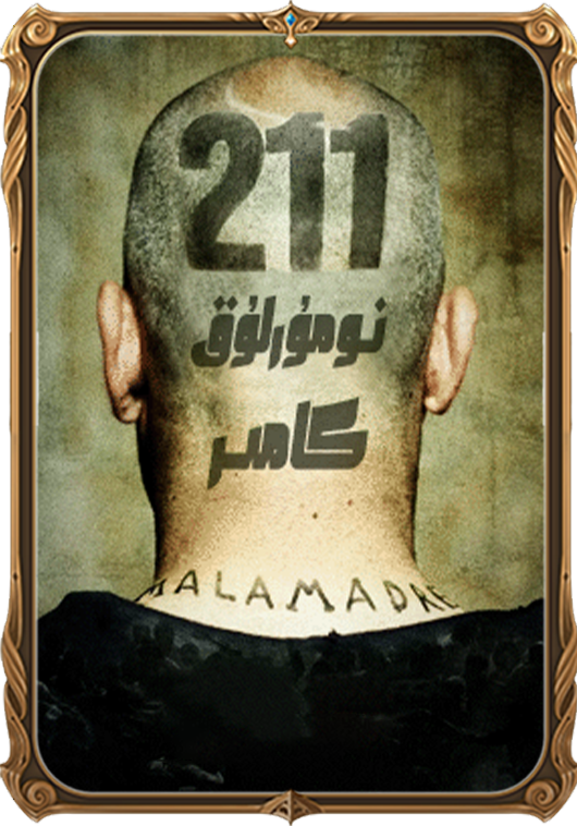 211 نومۇرلۇق كامىر