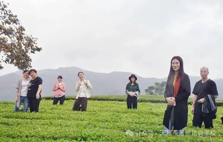 第217期天晟中国茶学系统培训班2026年3月10日正式上课（图）(图10)