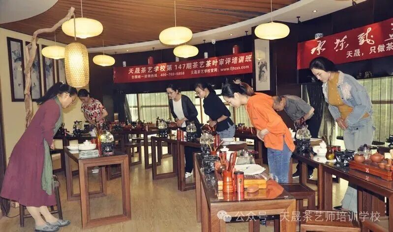 第217期天晟中国茶学系统培训班2026年3月10日正式上课（图）(图13)
