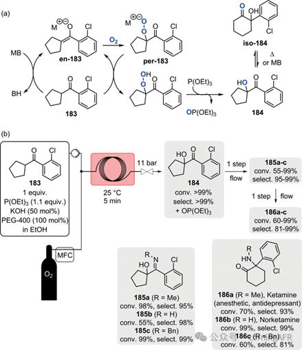 康寧認證實驗室：方法學、全合成及工業相關靶標制備的典型實例綜述Ⅱ