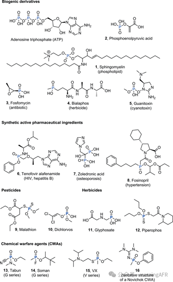 康寧認證實驗室：方法學、全合成及工業相關靶標制備的典型實例綜述Ⅱ