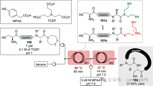 康寧認證實驗室：方法學、全合成及工業相關靶標制備的典型實例綜述Ⅱ