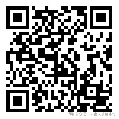 云南文山交通运输集团公司2025年招聘公告
