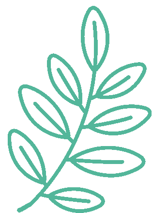 实幼看点 | 生态小卫士亲子探索之旅，你喜欢吗？-幼师课件网第10张图片