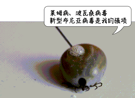c2981f181b82e775a59258bca9f6d9d0.jpg