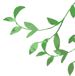 妊高怎么测【科普知识】警惕“隐形杀手”：妊娠高血压的自我监测_https://www.jmylbn.com_新闻资讯_第1张