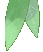 妊高怎么测【科普知识】警惕“隐形杀手”：妊娠高血压的自我监测_https://www.jmylbn.com_新闻资讯_第5张