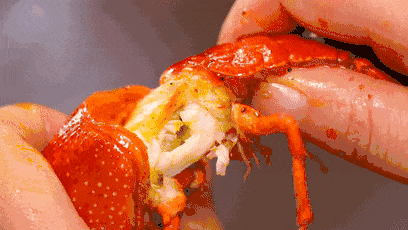 62ba39c780c04d21a1c180774835545c.gif