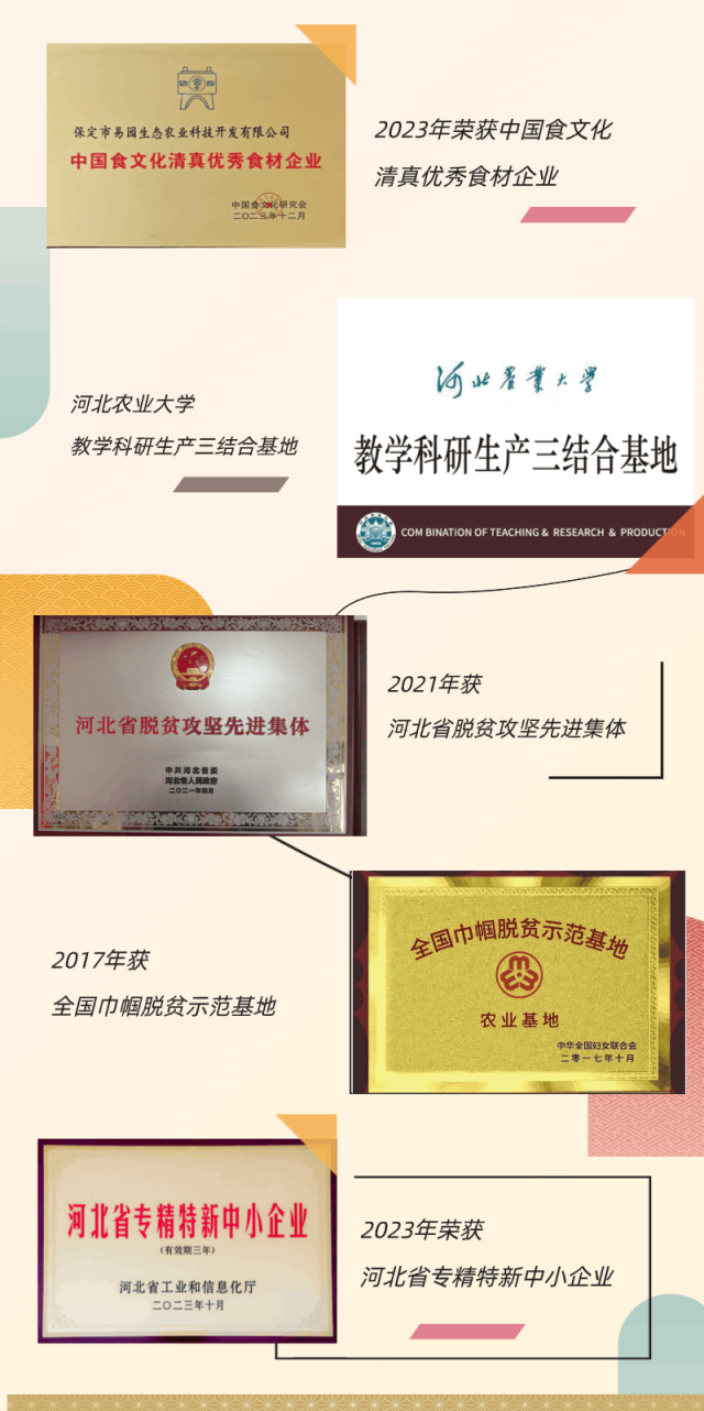 稿定设计-2.gif