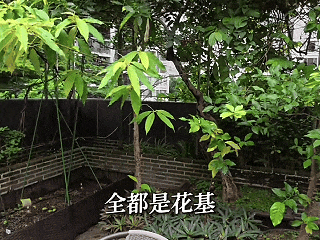 7月20日(1).gif