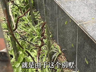 9月7日.gif