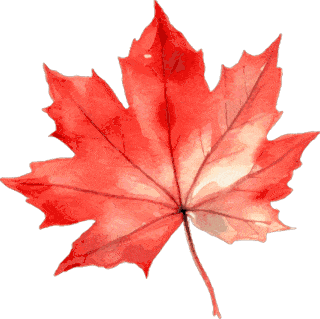 怎么测角膜直径您知道测出来的角膜直径和瞳孔直径怎么用吗？笔灯用法大全（八）_https://www.jmylbn.com_新闻资讯_第9张