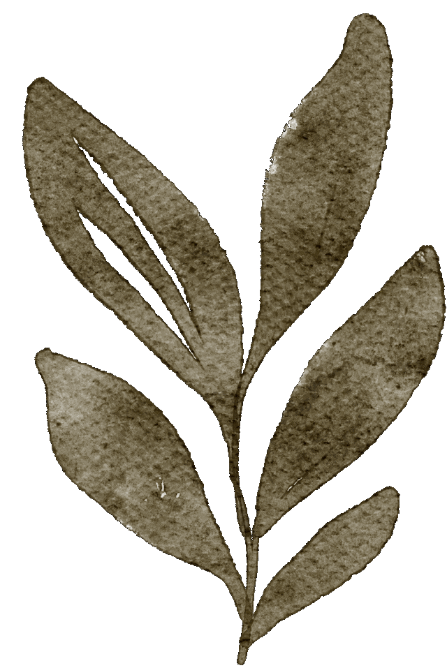 碧新心语，感恩同行 —— 碧新幼儿园感恩节活动-幼师课件网第2张图片