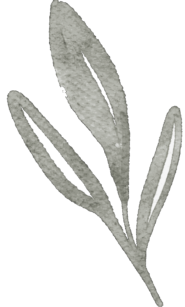 碧新心语，感恩同行 —— 碧新幼儿园感恩节活动-幼师课件网第8张图片