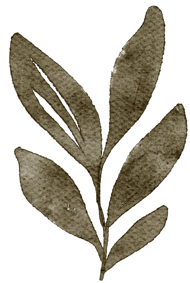 碧新心语，感恩同行 —— 碧新幼儿园感恩节活动-幼师课件网第7张图片