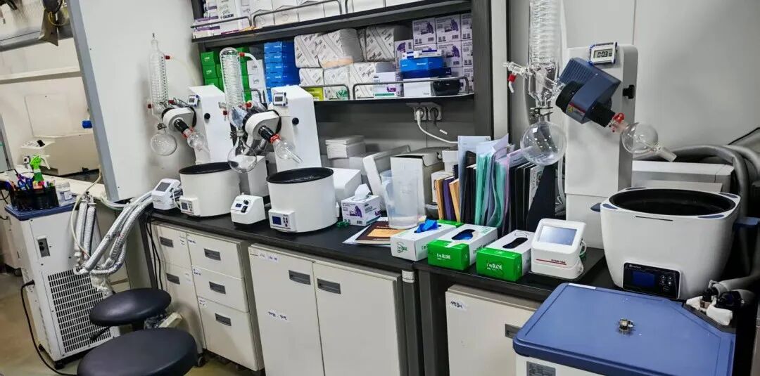 萊伯泰科亮相KOREA LAB 2025，全球布局再添新彩！