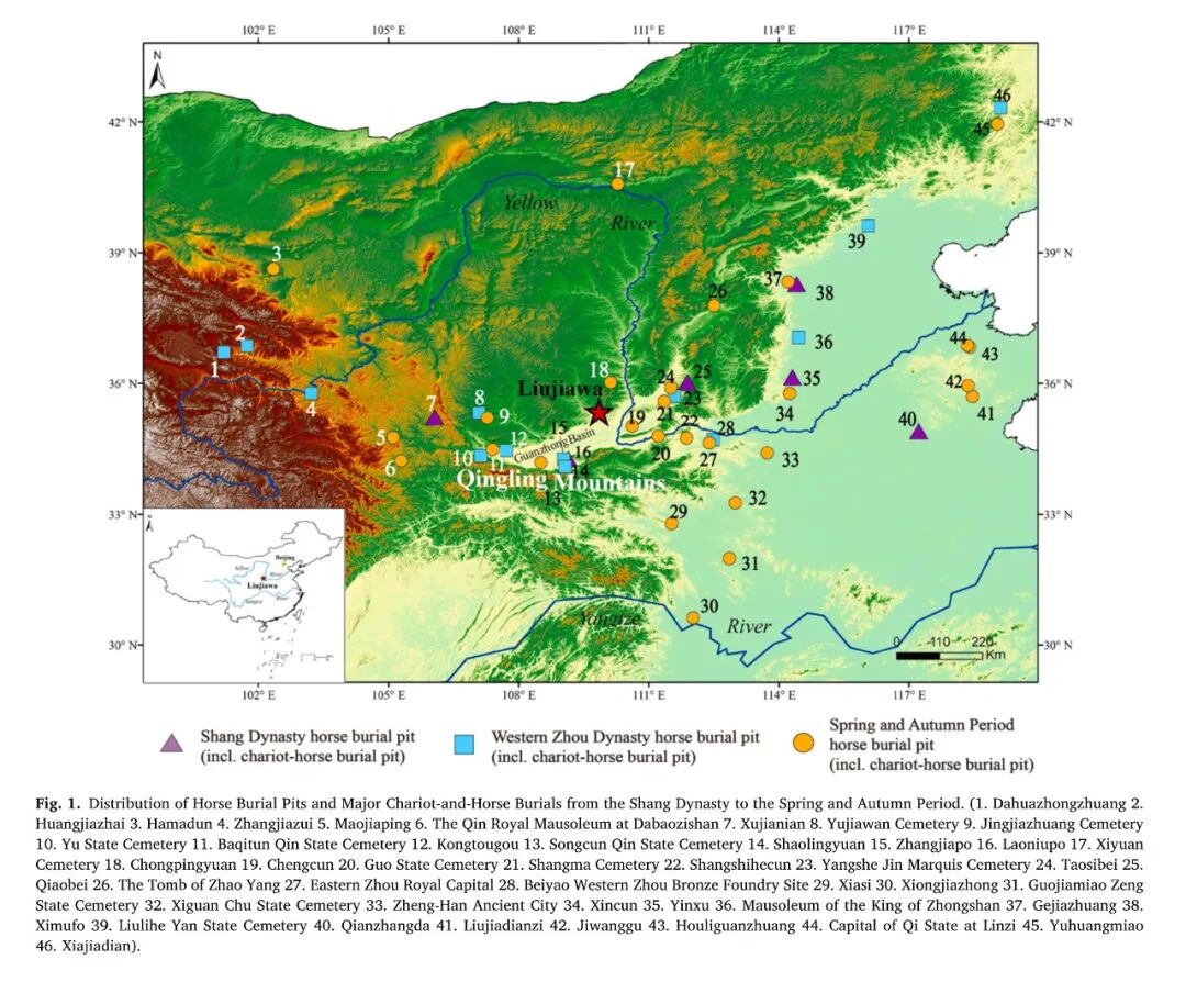 兩千年前的“畜牧檔案“：ICP-MS技術(shù)重現(xiàn)東周馬匹飼育智慧圖譜