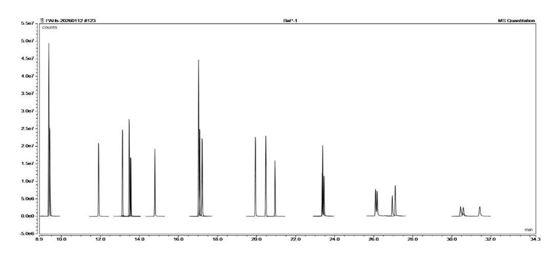 解决方案 | 膜式SPE-GC-MS法测定水质中苯并[a]芘