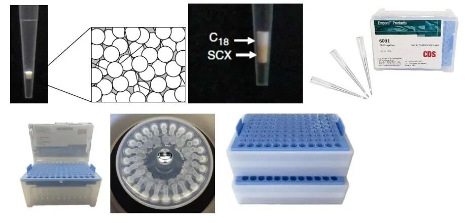 “膜”法在線！Empore™膜技術：蛋白組學界的隱形魔術師
