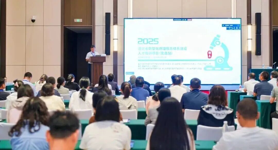 助力湖北“數(shù)智化病”培訓(xùn)項目，讓冰凍切片更輕松！