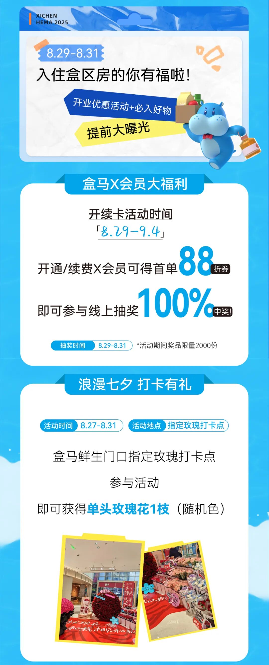盒马又来金牛啦！明日开业！插图1