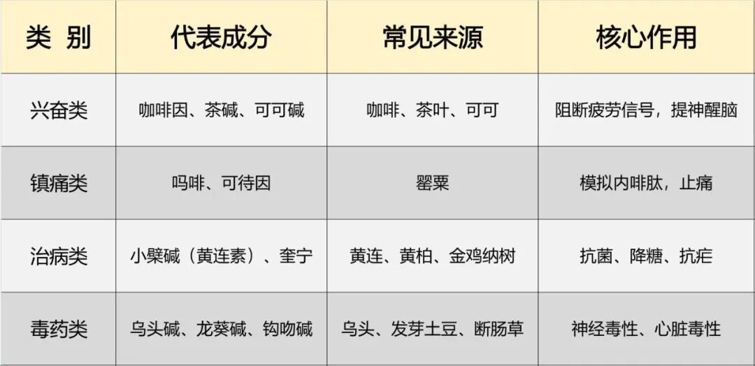 生物碱1.jpg