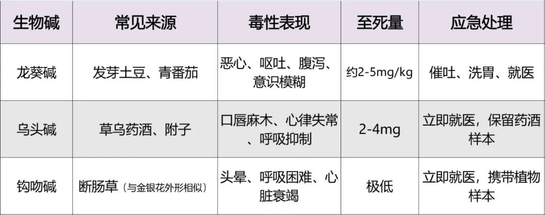 生物碱61.jpg