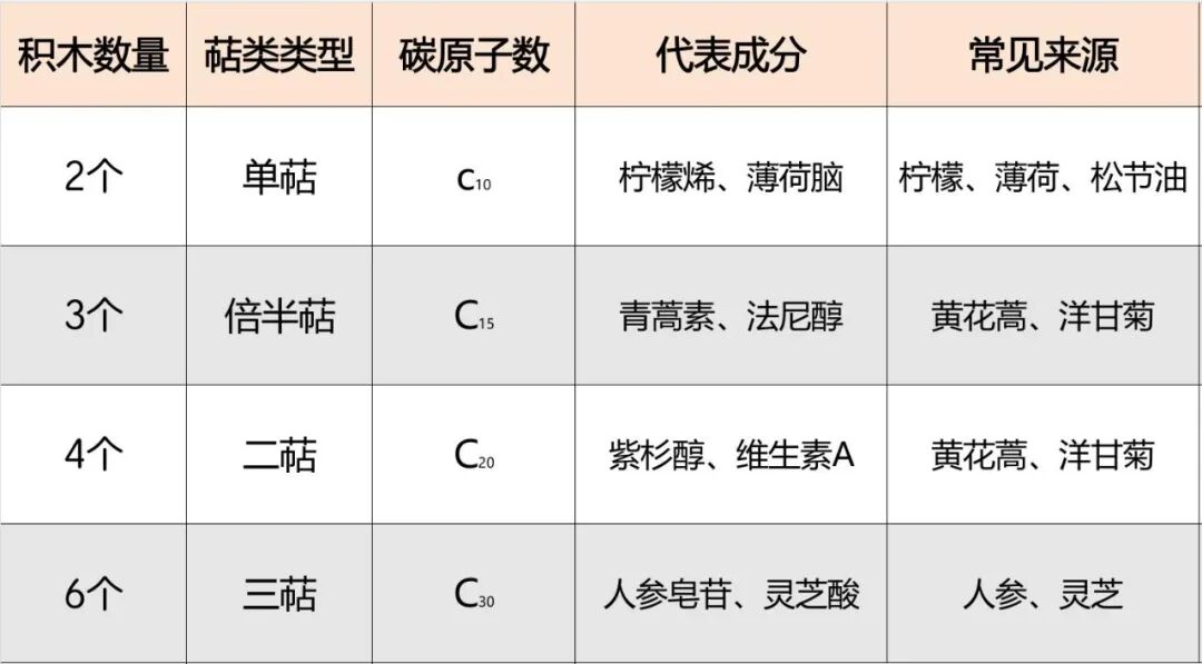 萜1.jpg