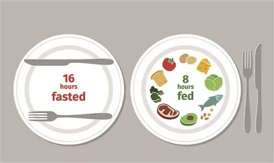 限时饮食改善代谢功能有了科学依据 --科普时报--数字报