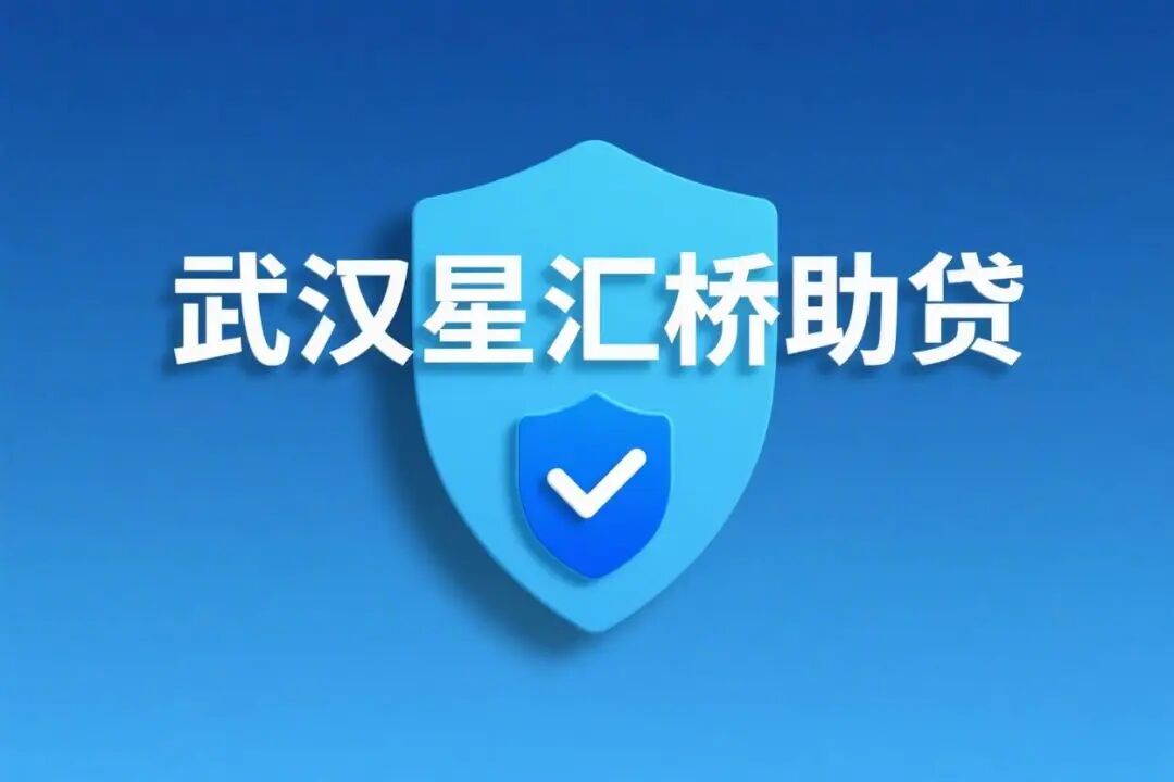 武汉星汇桥助贷章节内容插图