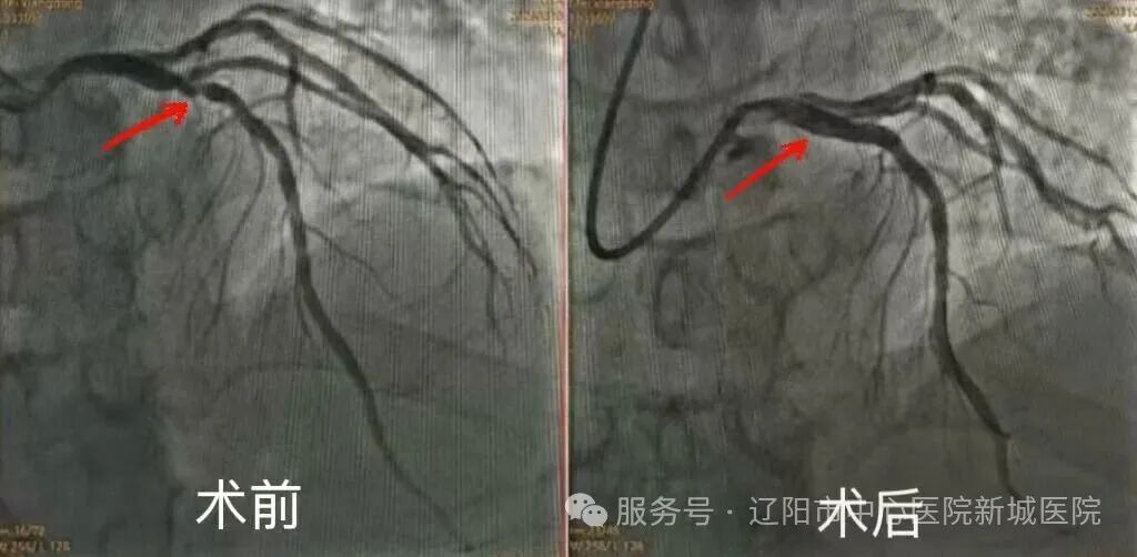 微信图片_20260709112459_1626_195.jpg