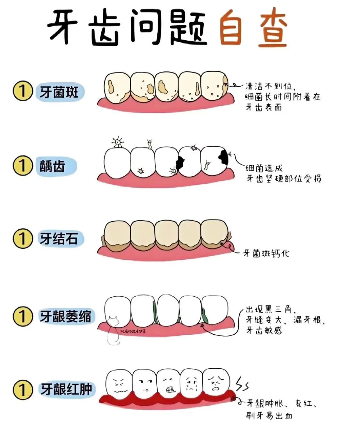 很多人每天都是在无效刷牙