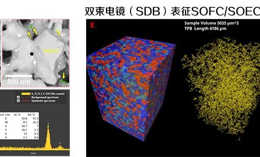 2025中國(guó)氫能展 | 賽默飛電子顯微鏡期待與您相約北京研討會(huì)（第一輪通知）