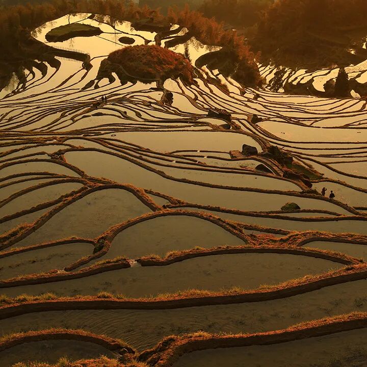 透視生命結(jié)構(gòu)之美，共探電子顯微新篇章