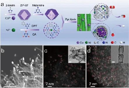 頂刊速遞丨最新研究集錦，看我們的聯(lián)合實驗室如何展現(xiàn)電鏡科技!