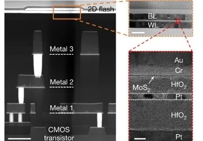 《Nature》最新研究集錦，看我們的用戶如何引領(lǐng)電鏡科技