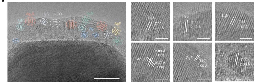 《Nature》最新研究集錦，看我們的用戶如何引領(lǐng)電鏡科技