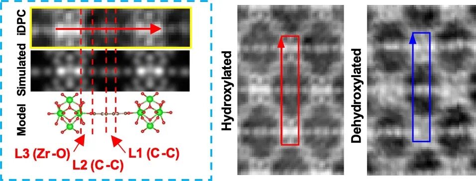 利用iDPC-STEM技術實現MOF中分子靜態和動態力學行為的真正原子級成像