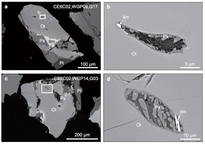 頂刊速遞 《Nature》最新研究集錦，看我們的用戶如何帶領(lǐng)電鏡科技