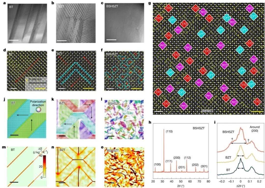 頂刊速遞 《Nature》最新研究集錦，看我們的用戶如何帶領(lǐng)電鏡科技